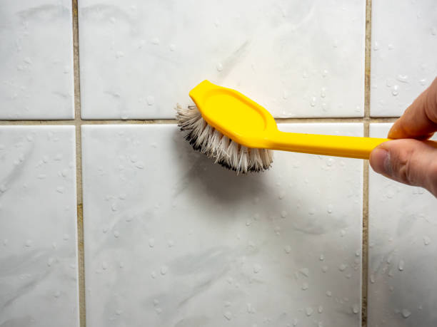  Santa Maria, CA Mold Removal Pros