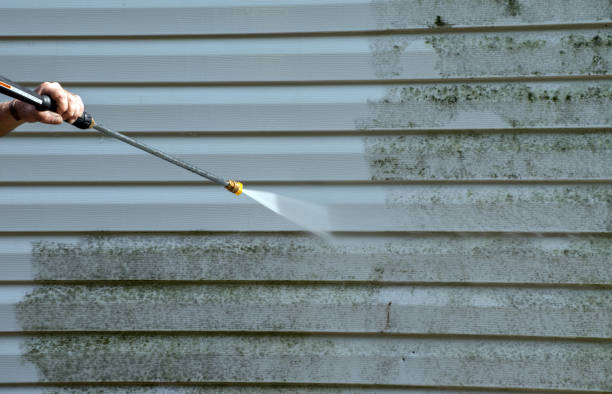 Best Attic Mold Removal  in Santa Maria, CA