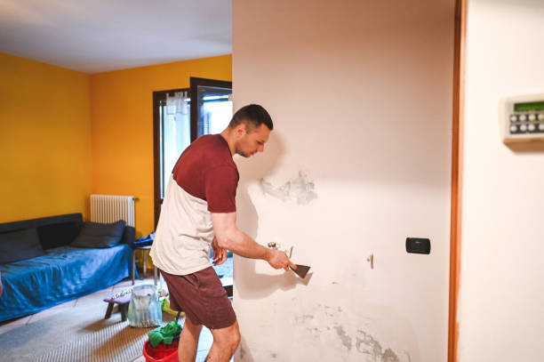 Best Best Mold Removal Companies  in Santa Maria, CA